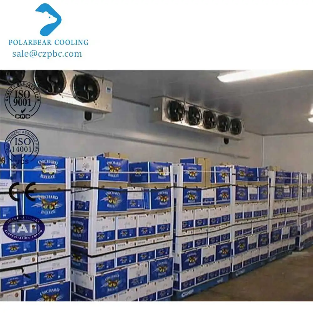 logistic cold storage (4)