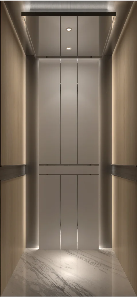 Top Company Hot Sale Passenger Elevator With ge