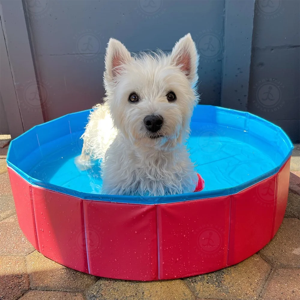 Factory Price Round Pet Dog  Cleaning Pool Foldable Dog Cat Swimming Pool Garden Swimming Pools For Dog