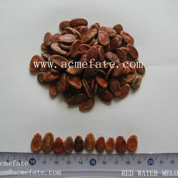 Семена Красного арбуза, семена дыни, семена Красного арбуза для продажи