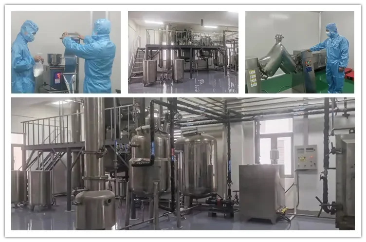 Natural Organic Spray Dried Avocado Powder Avocado Seed Powder