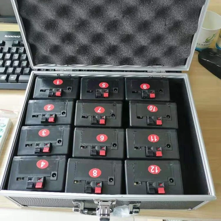 China 12 cues remote control cold pyro wireless firing system fireworks for wedding
