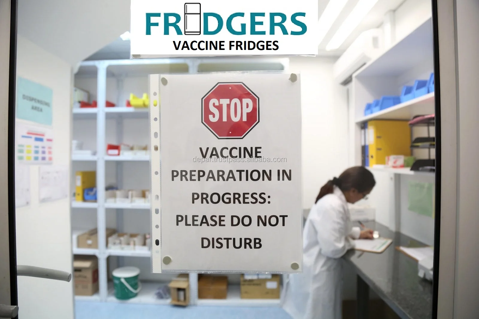 57lt Mini Vaccine Refrigerator 220VAC for Medicine in Hospitals, Health Center, Clinic, Pharmacy  Africa, Compressor