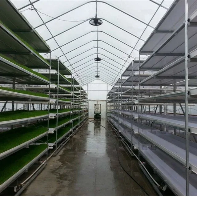 NFT PVC Hydroponics Barley Sprout System for Cow Horse Sheep