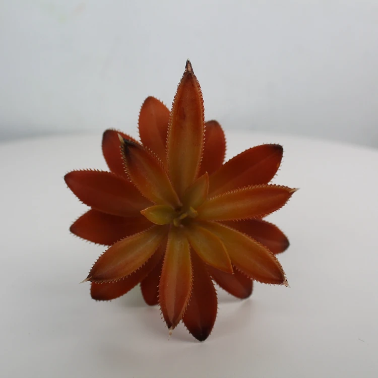 Green Artificial Plants Indoor Outdoor Plastic Succulent Plant For 2021