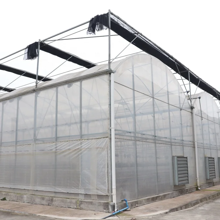 MYXL China Economic Plastic Film Green Houses Plastic Metal Frame Agriculture Commercial