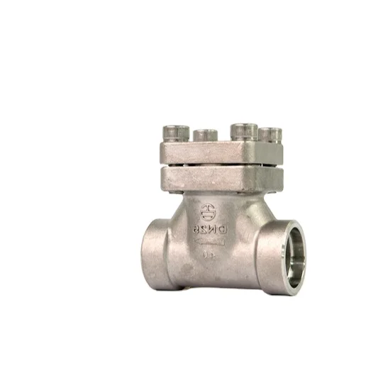 DH-25Y stainless steel check air valve low temperature non return valve