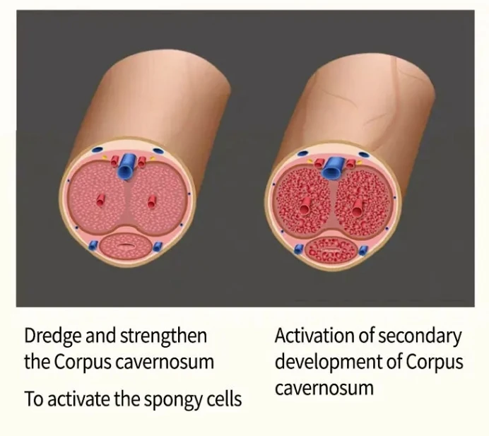 Supply Classic Sex Spray Couple Foreplay Flirt Delay Ejaculation For Men 15ml Male Delay Spray