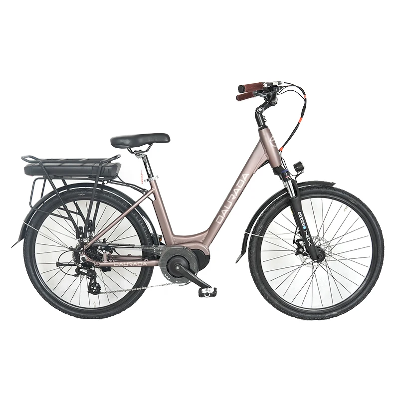 DAURADA New Fashion 26 Inch Mid Motor Fat Tire Bike Mountain Bike E-bike City E Bikes Electric Bicycle