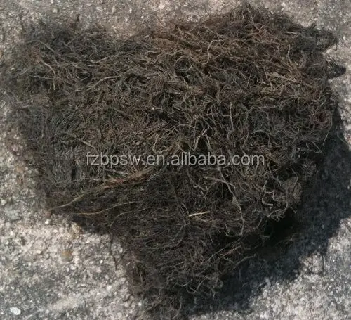 Bulk Package of Dried Sargassum Powder Seaweed Powder Feed Grade