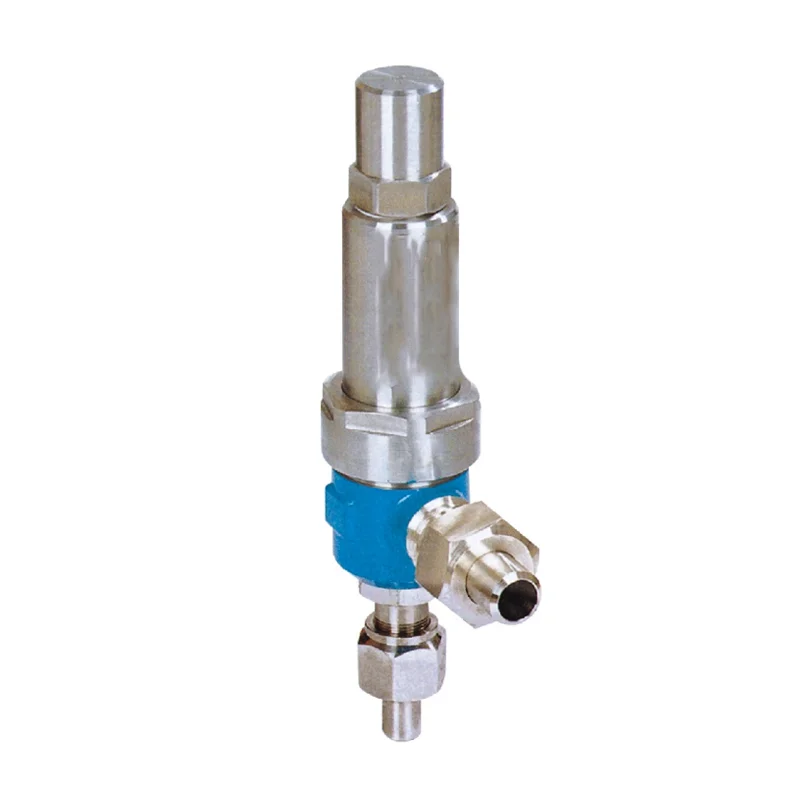 Pressure Relief Valves Cast Iron Spring Loaded Full Lift Air Water Steam Boiler thread Safety Valve