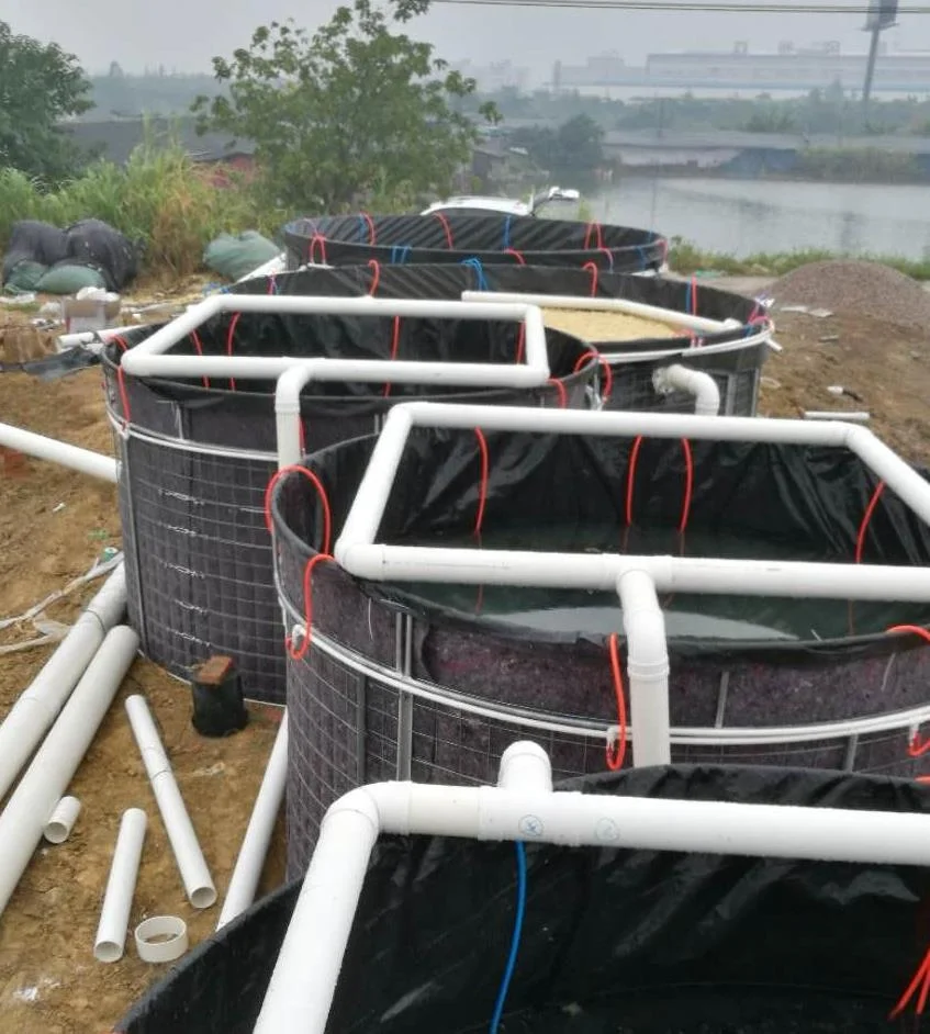 Plastic Geomembrane for Indoor Fish Ponds Farm Tank UV Resistant 500 Micron Pond Liner Manufacturer Waterproof Hdpe