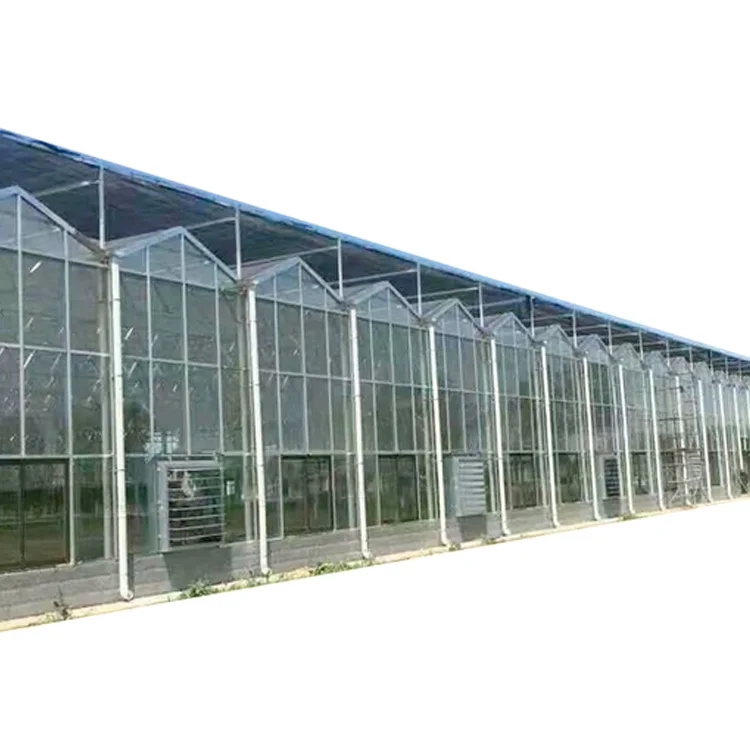 Glass greenhouse agricultural/commercial with hydroponic system