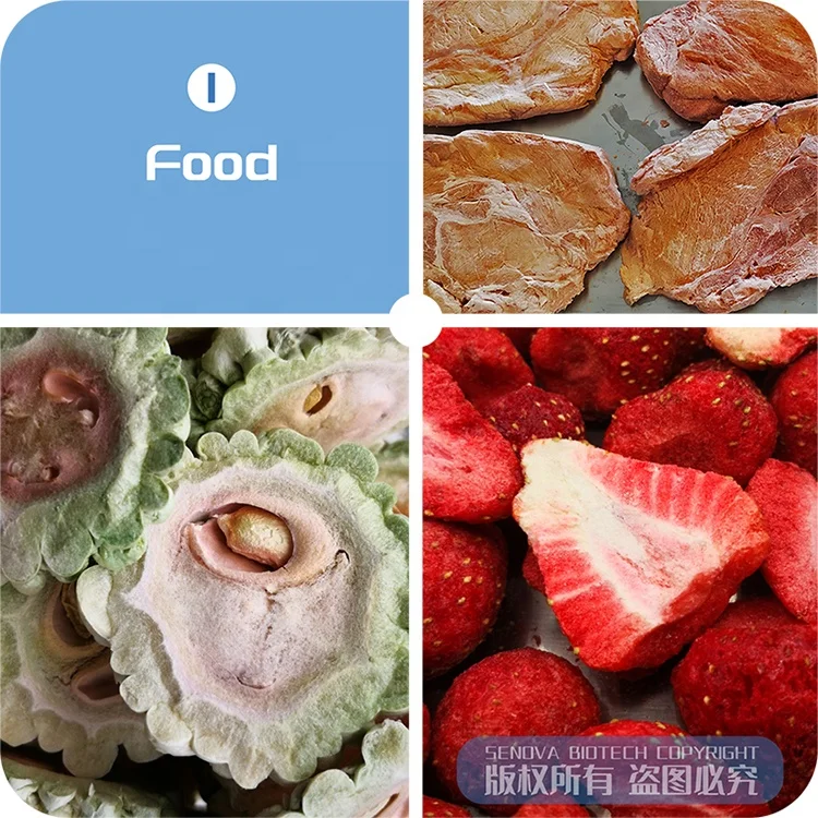 6Kg DIY Cheap Commercial Instant Coffee Dates Food Flower Lyophilizer Freeze Drier