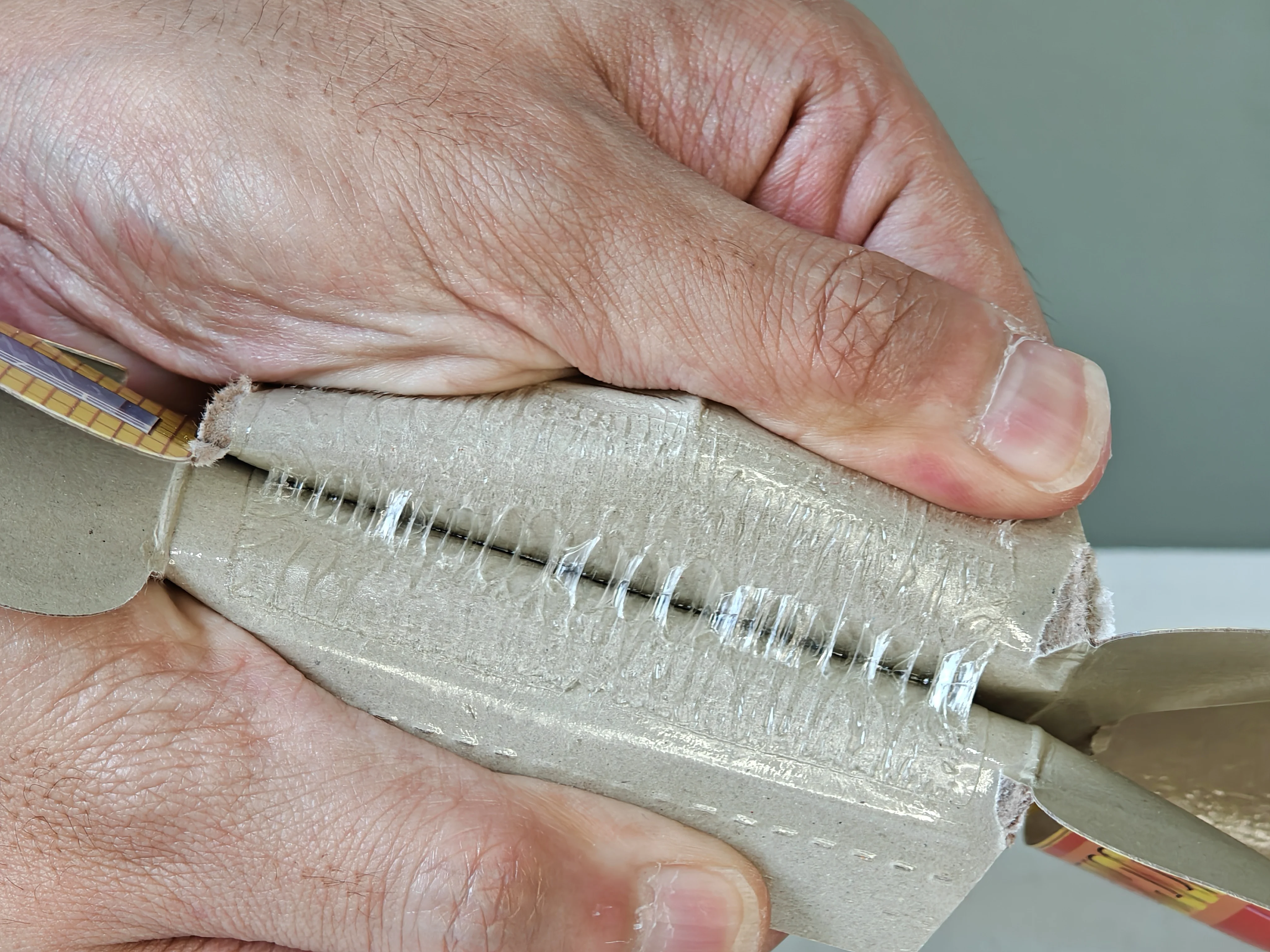 Portable Eco-Friendly Sticky Cockroach Trap Effective Glue Pest Control for Kitchen Restaurant Storage Animal-Design Grave