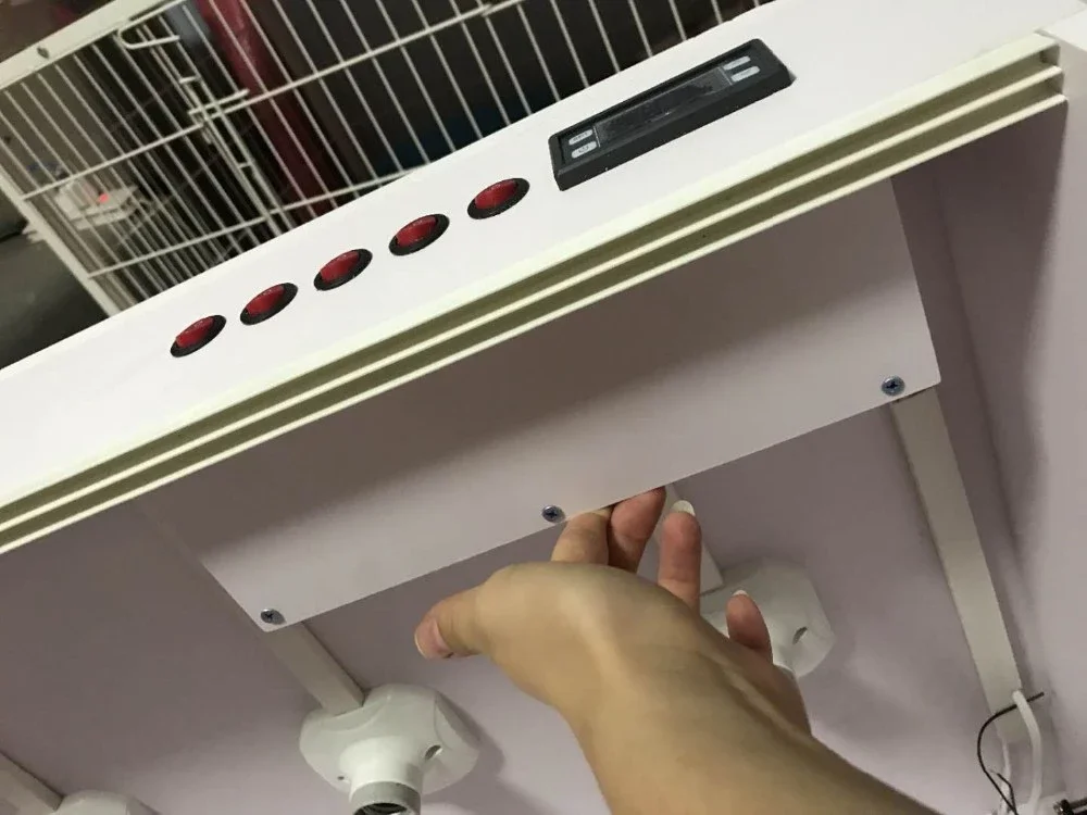 Hot selling automatic cat dog dryer pet hair blowing water drying box pet blow dryer