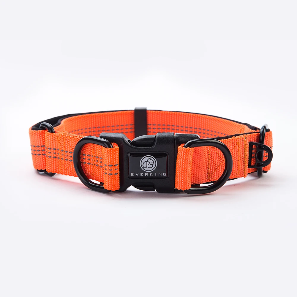 R Strong nylon collar fashion Personalized Logo outdoor dog collar washable