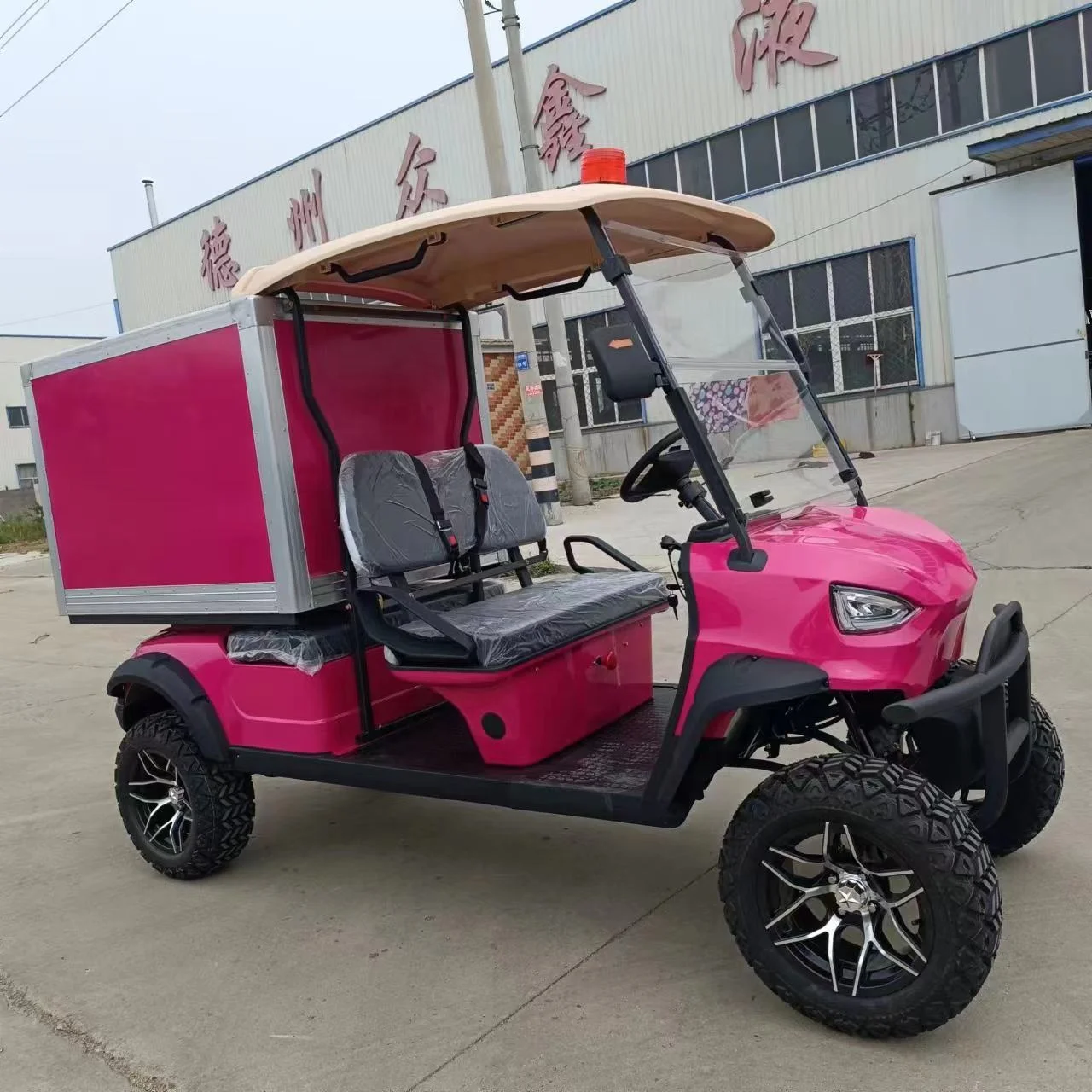 custom recreational energy vehicle car 2 seater electric golf cart buggy with Cargo Boxes