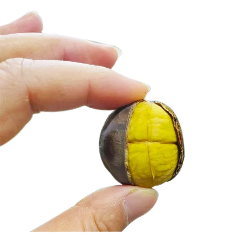 Hot Sales gluten free fresh chestnut iqf chestnut kernel import fresh frozen chestnuts With Spot Wholesale