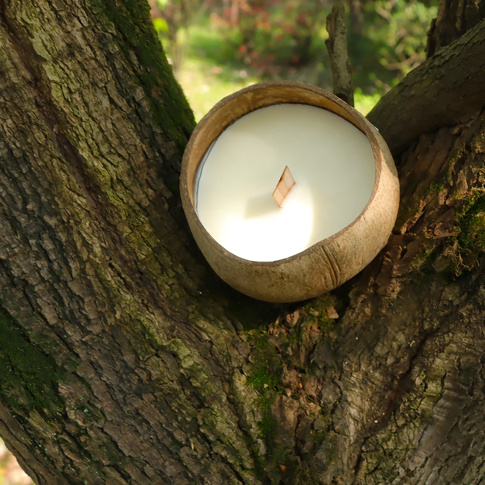 Eco-Friendly Coconut Shell Pillar Candle Creative Wood Decorative Storage Bowl for Holiday Birthday Parties Made with Soy Wax