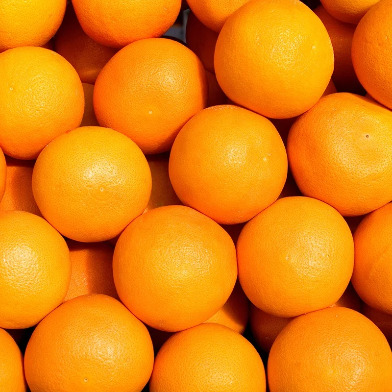 Fresh Orange Navel Orange from China