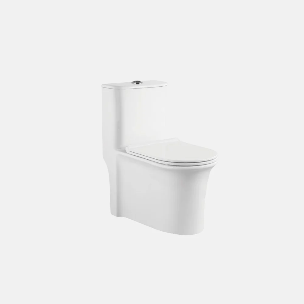 toilet bowl