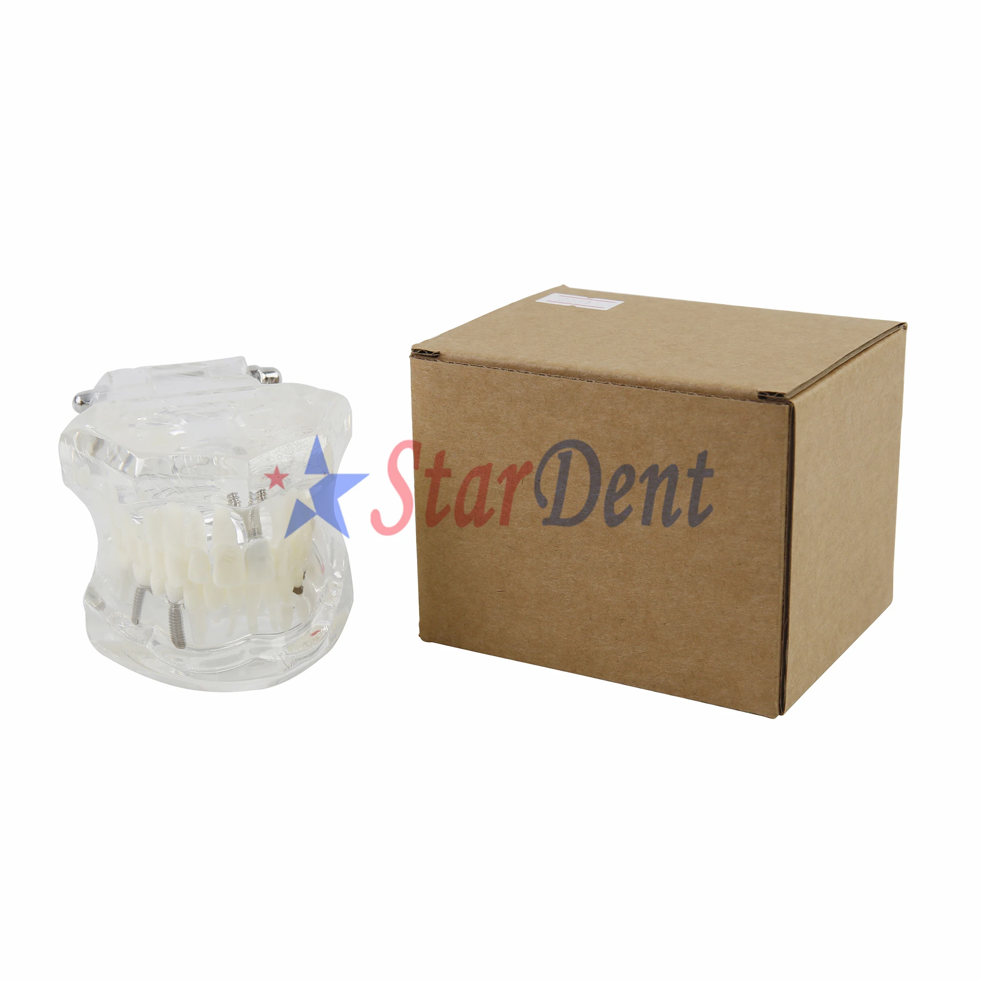 Зубные зубы модель имплантата для зубного