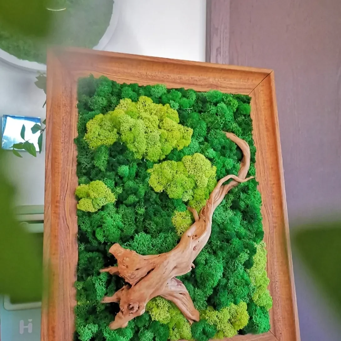 N-191 Wholesale natural preserved green fresh pole sheet moss ball decorative moss bun for Event Display Backdrop