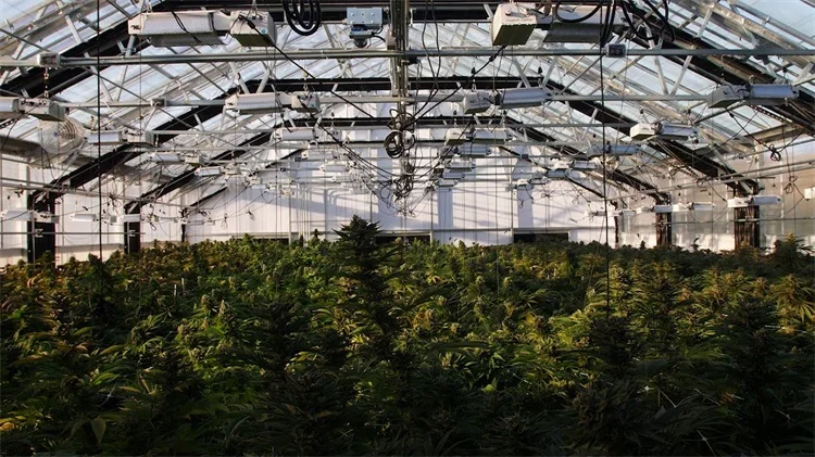 Skyplant сельское хозяйство Поли Туннель поликарбонат Multi диапазон света лишения плотные теплицы