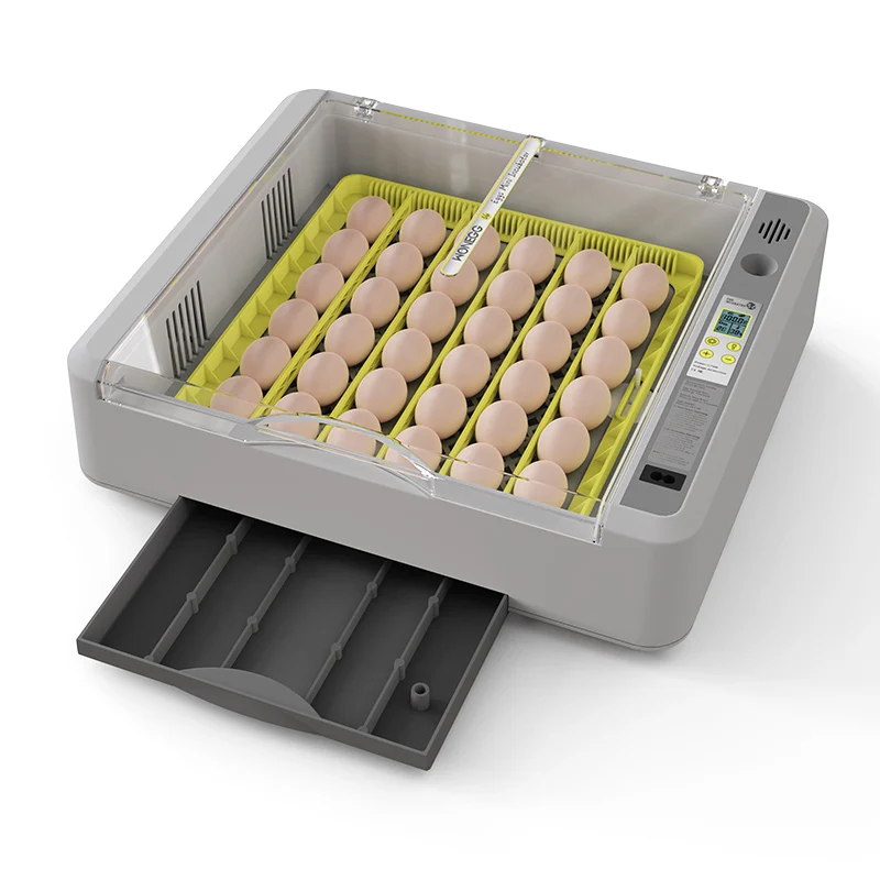Wonegg Mini Dual Power 36 Eggs Chicken Broiler Pigeon Egg Incubator Automatic Brooder Incubator For Poultry