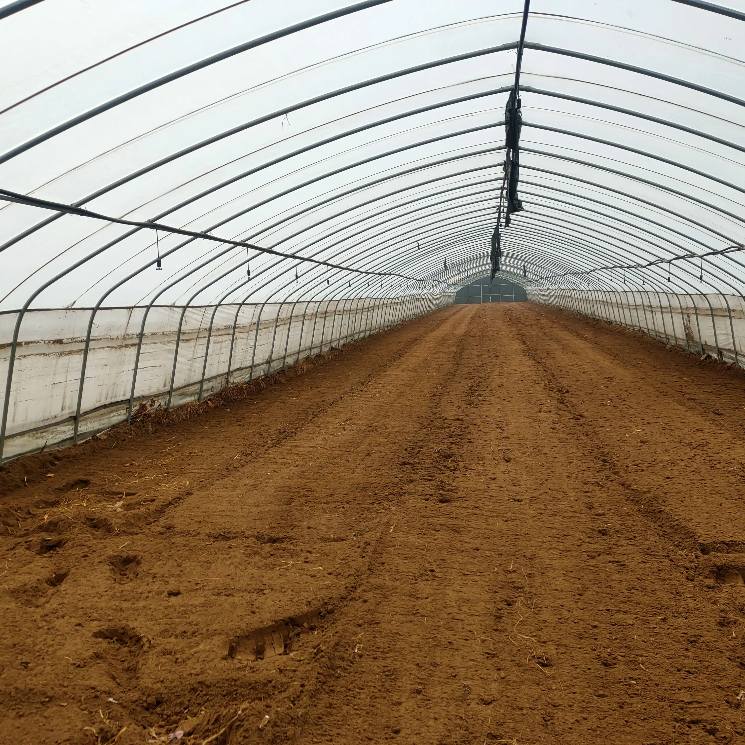 High Quality Cooling System Greenhouse Complete Set Design China Wholesale Commercial Greenhouse for Snail Farming