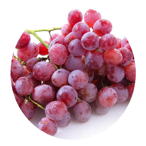 New 2021 fresh fruit seeds Grape Seed fruit seeds for sale