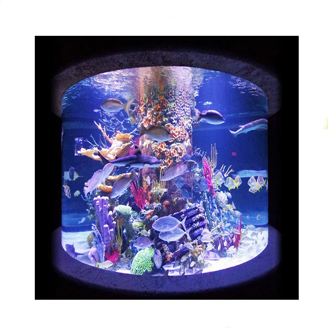 oval shaped fish tank