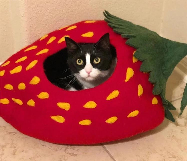 Hot Sale Comfortable Practical Durable Cute Cat Cave Bed Indoor Cat Cave Bed Felt Strawberry Cat Cave