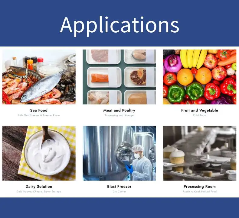 Hot Sale Seafood Freezer Ultra Low Cold Room For Fish  Frozen  Solar Cold Storage Room Blast Chiller