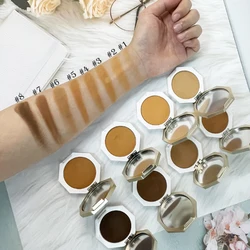 OEM Matte Finish Bronzer Custom Waterproof Foundation Powder for Black Women