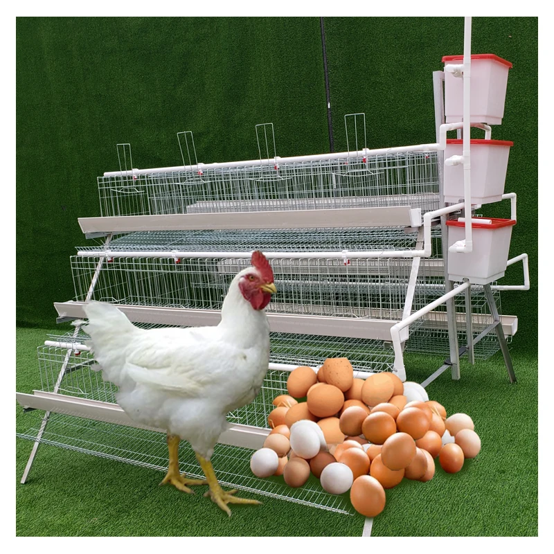 3 tiers 96   Birds Egg Layer Chicken Cage   Poultry Farm Equipments With Automatic water supply