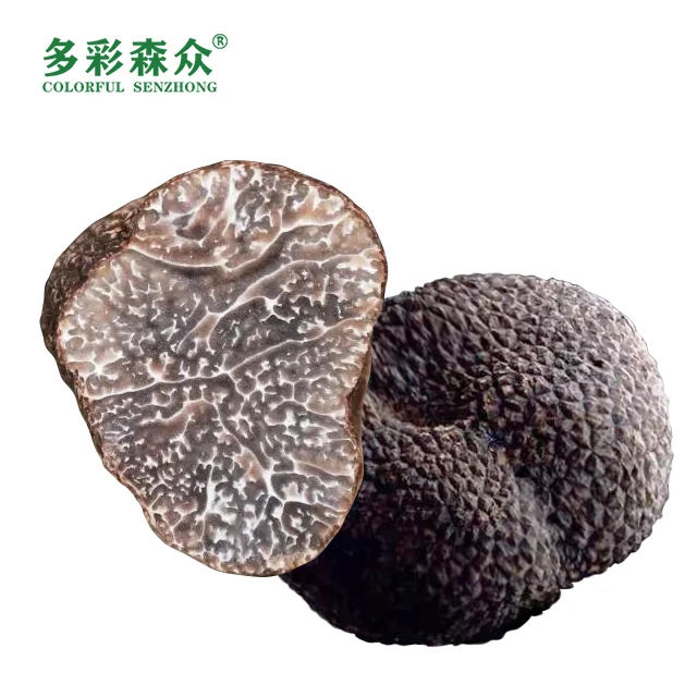 Song lu Health food grade mushroom black truffles Wholesale wild black truffle in Yunnan, China frozen truffle