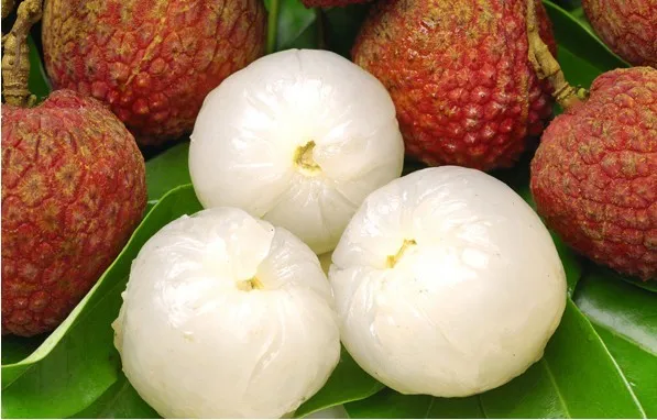 
2018 New Crop Best Quality Canned Lychee Canned Lichee In Syrup 