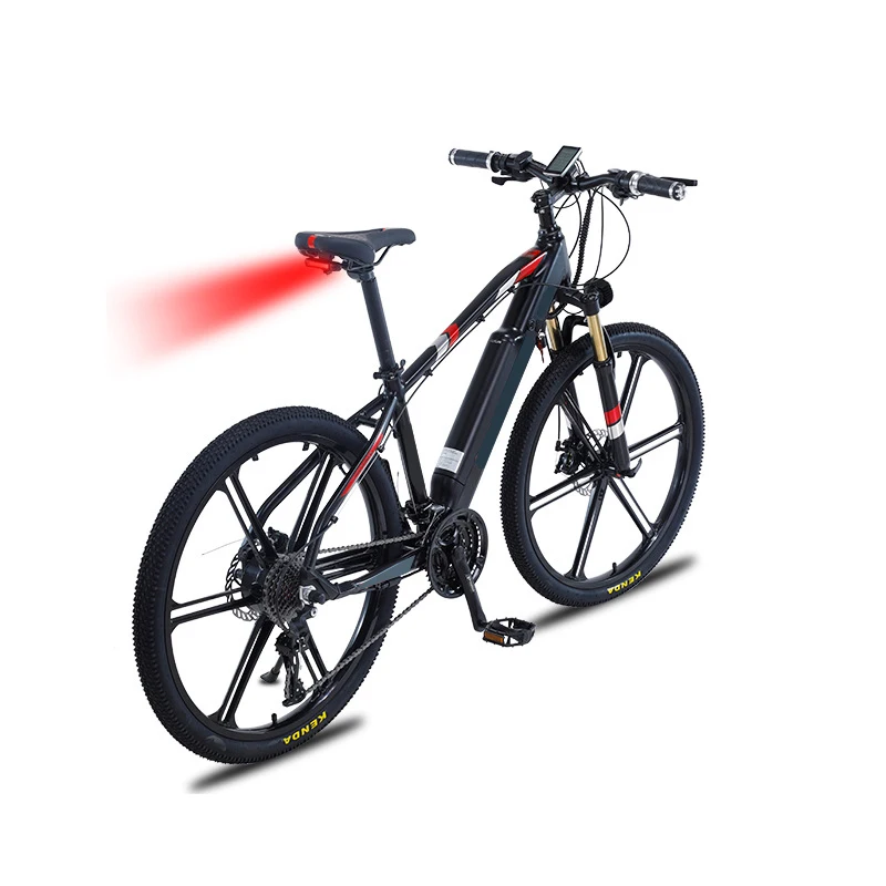 D-biker Bicycle 36v 350w Electric Bike Basikal Elektrik E Battery Case