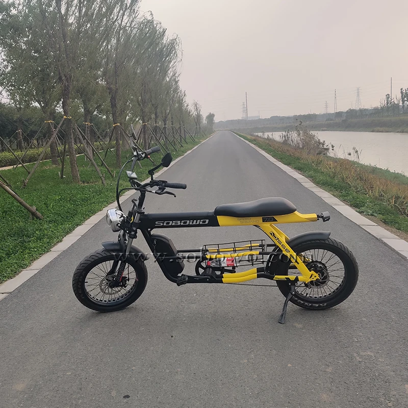 Dual Battery Electric Bike Hot selling High Quality 20 Inch Fat Tire E-bike With Two Seat