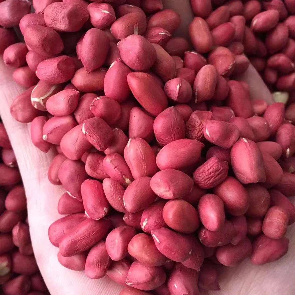 Шаньдун сырой мини-арахис из красной кожи оптом арахис Китай