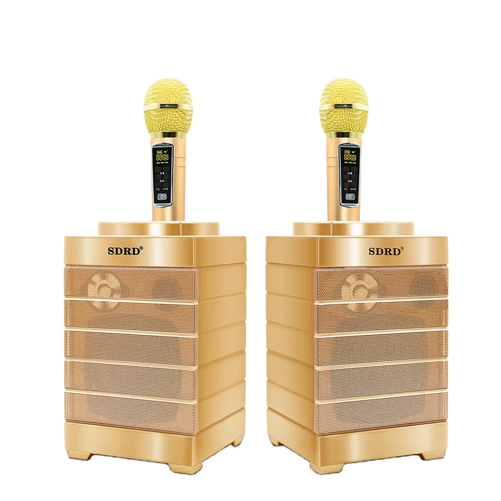 SD-128 беспроводные hifi динамик 30 Вт большой мощности семья KTV с двойной хорового пения или двойной микрофон с героями мультфильмов подарок сенсорный аудио