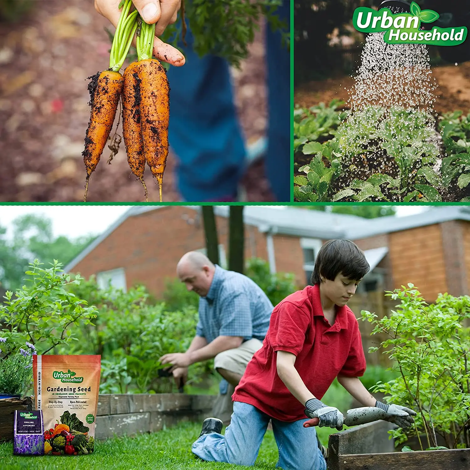 
Seeds Squash Zucchini Light Green Heirloom Vegetable for Planting Non GMO 