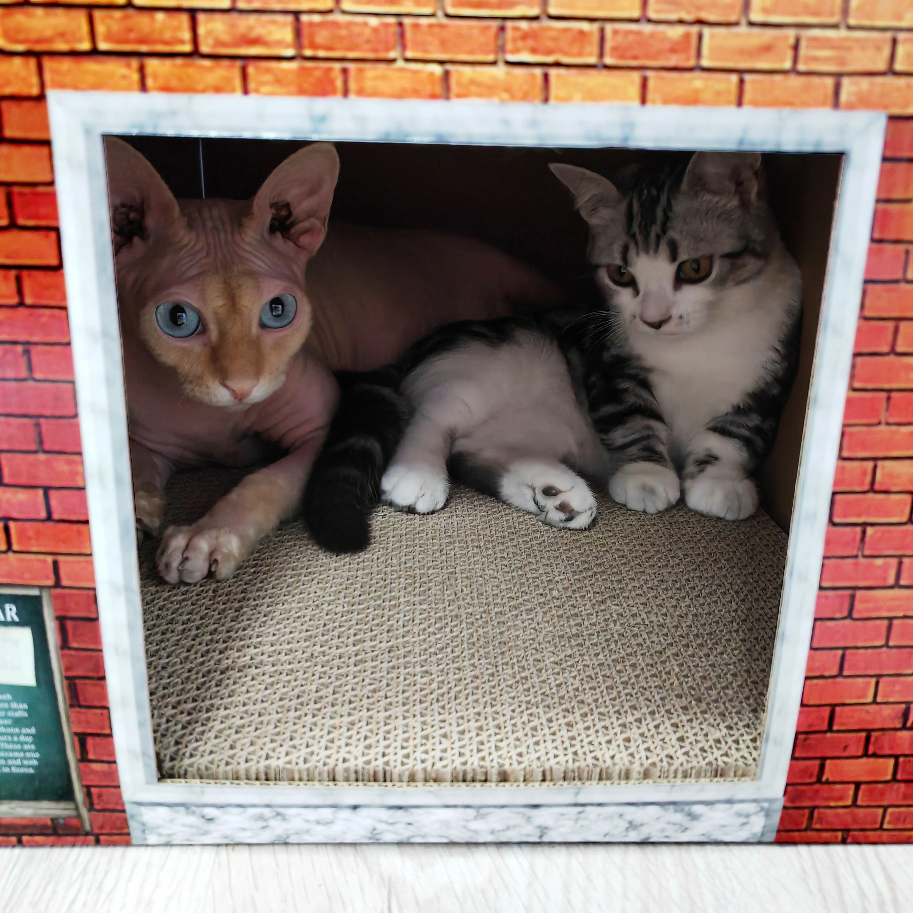 2 Stories big foldable cat scratching toy board cat house for multicat family