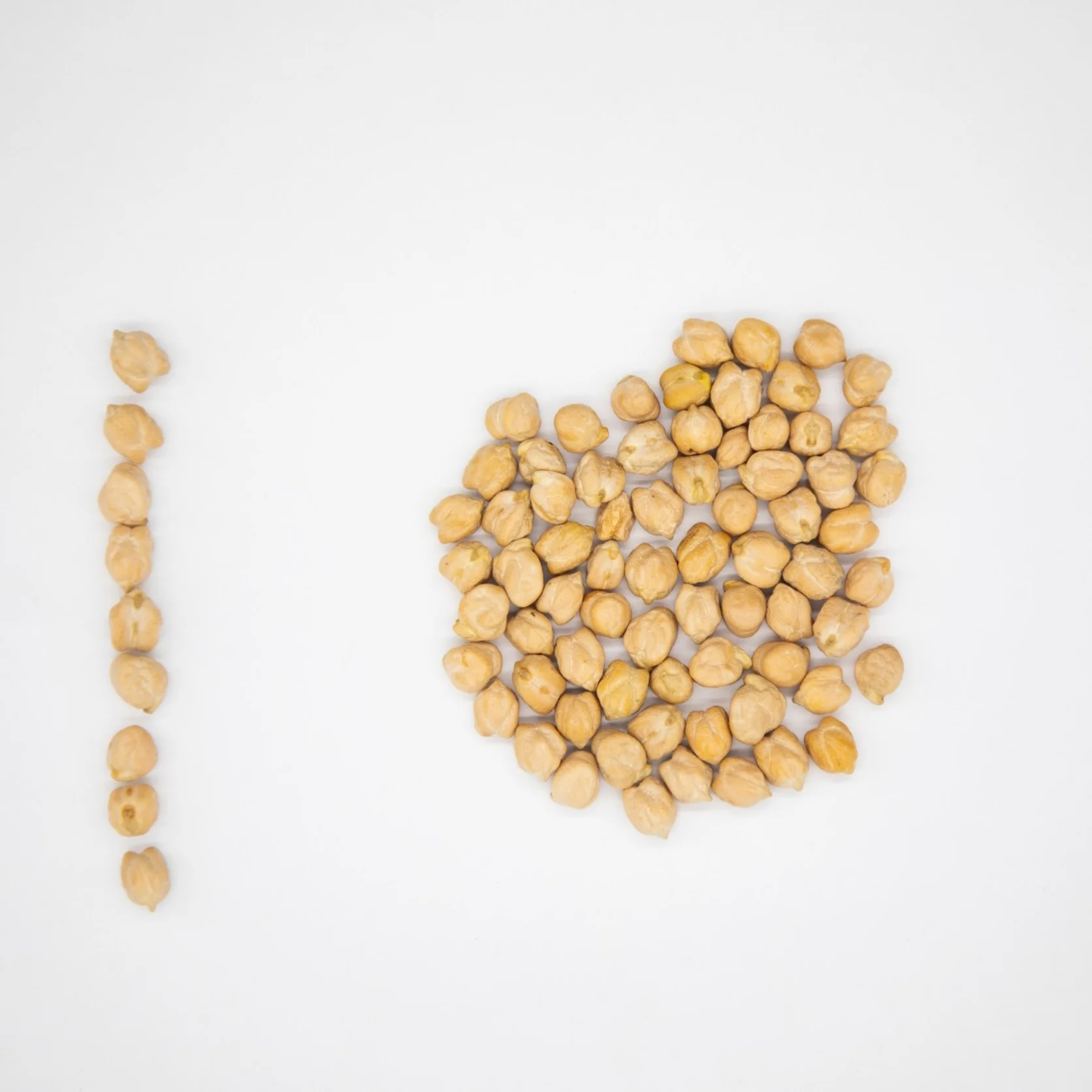 Organic chickpeas 100% natural high grade 6+ 7+ 8+ 9+ caliber chickpea in bulk from Uzbekistan manufacturer