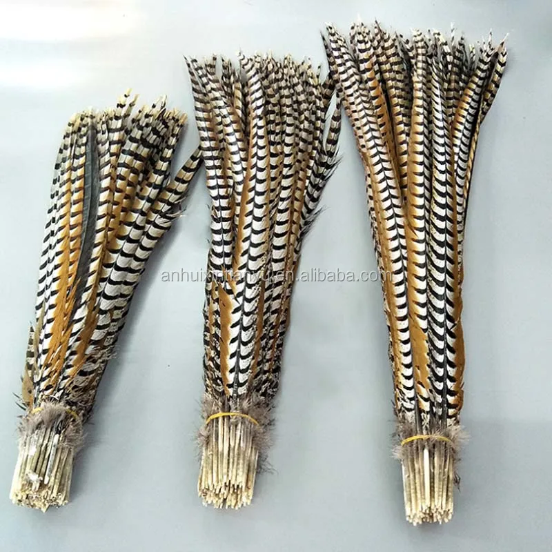 Wholesale natural 10-160cm Reeves Pheasant Tail Feather