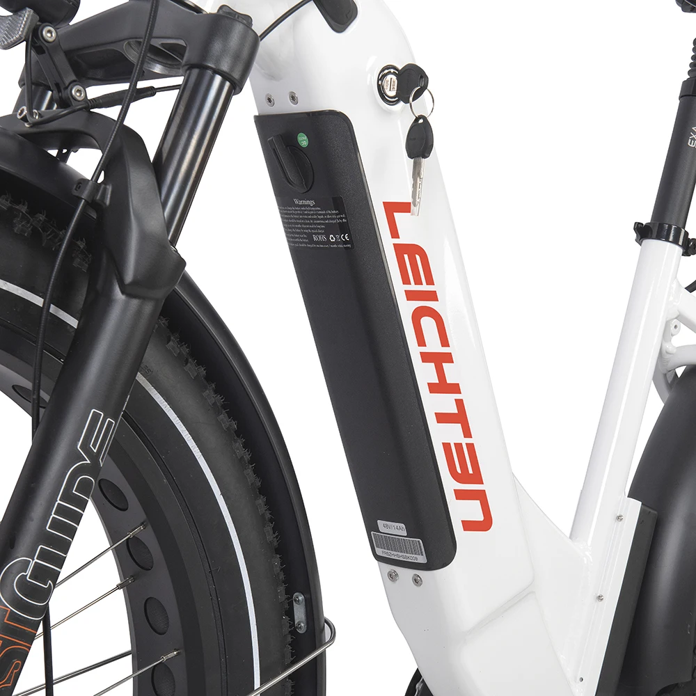 Power torque e-bike electric mountain bike new model electric bicycle alloy aluminum frame fat tire snow MTB ebike