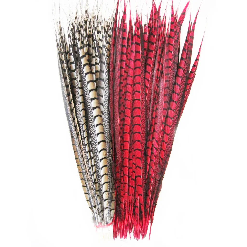 Customized High Quality Bleached Dyed Lady Amherst Pheasant Tail Feathers