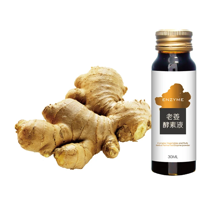 
Wholesale Fruit And Vegetable Compound Dispel Cold Function Ginger Enzyme Oral Liquid 